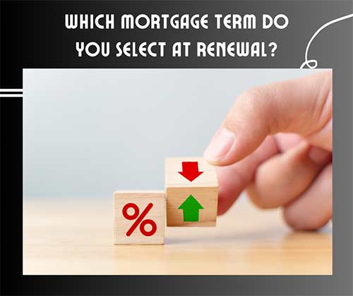 What Is the Best Term to Select at Renewal? 